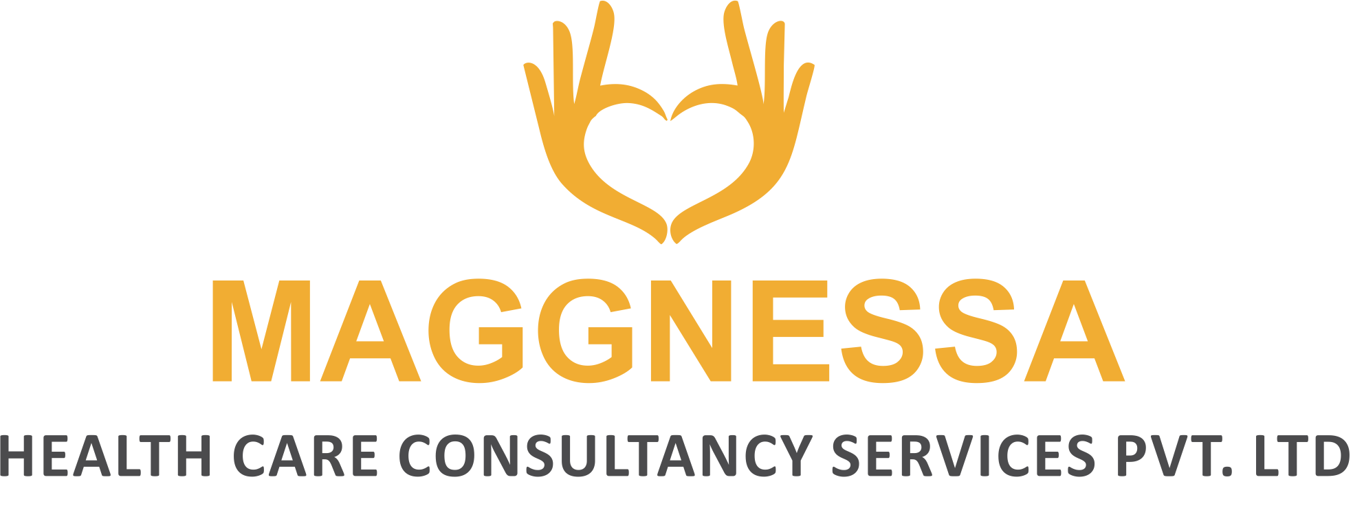 Maggnessa Healthcare Consultancy Services Pvt Ltd