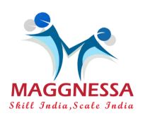 Maggnessa Ventures India