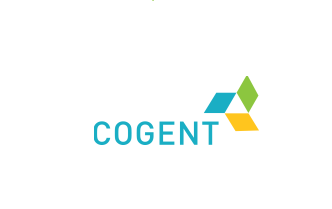 Cogent E Services Limited