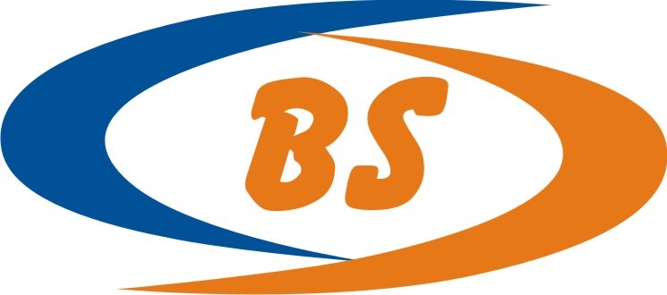 Bshr Consultant Private Limited