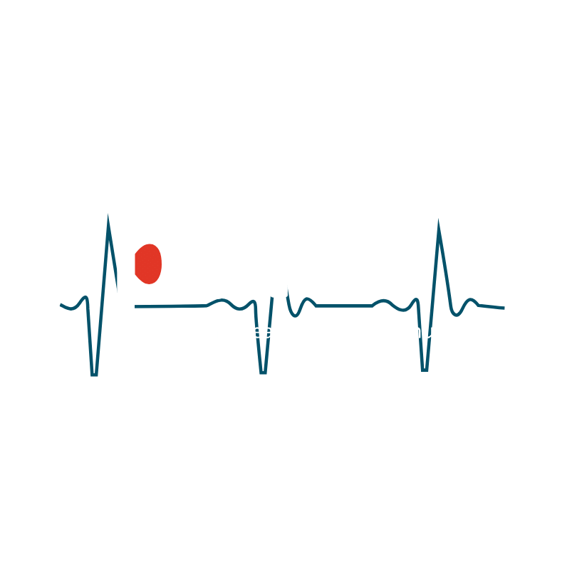 Pulse Telesystems Private Limited